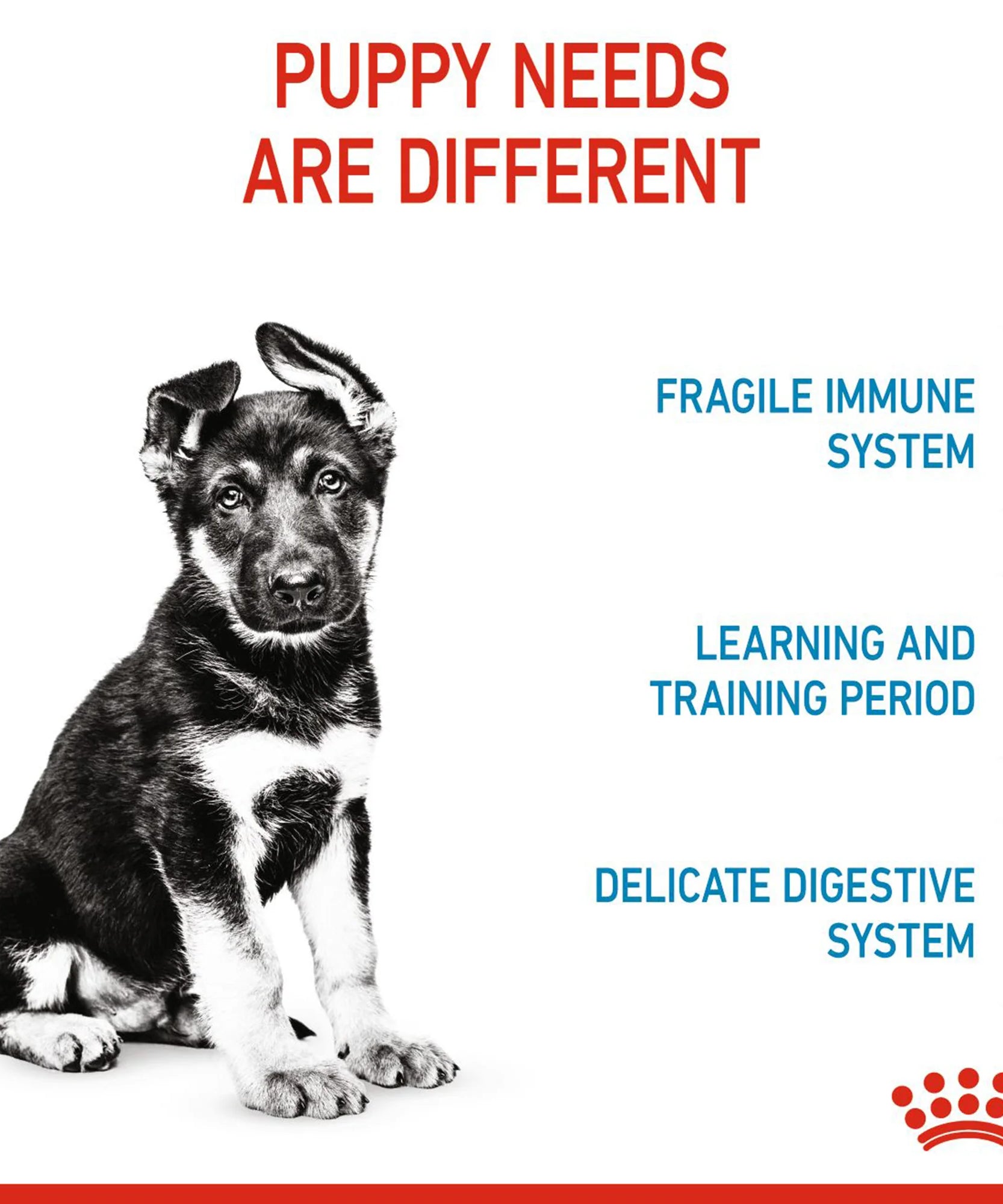 Royal Canin Maxi Puppy Dry Dog Food