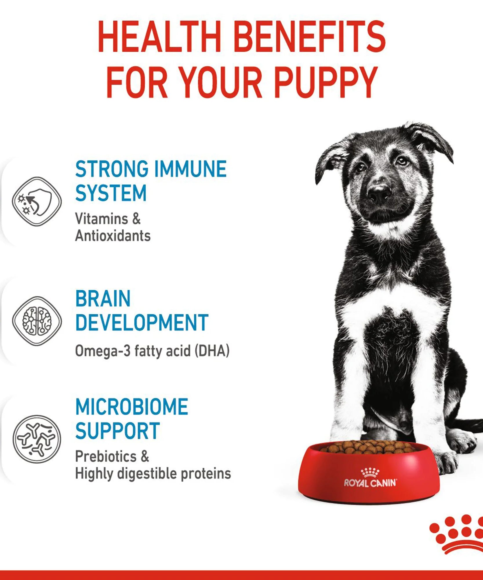 Royal Canin Maxi Puppy Dry Dog Food