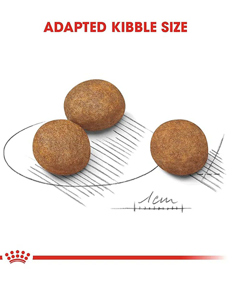 Royal Canin Maxi Puppy Dry Dog Food