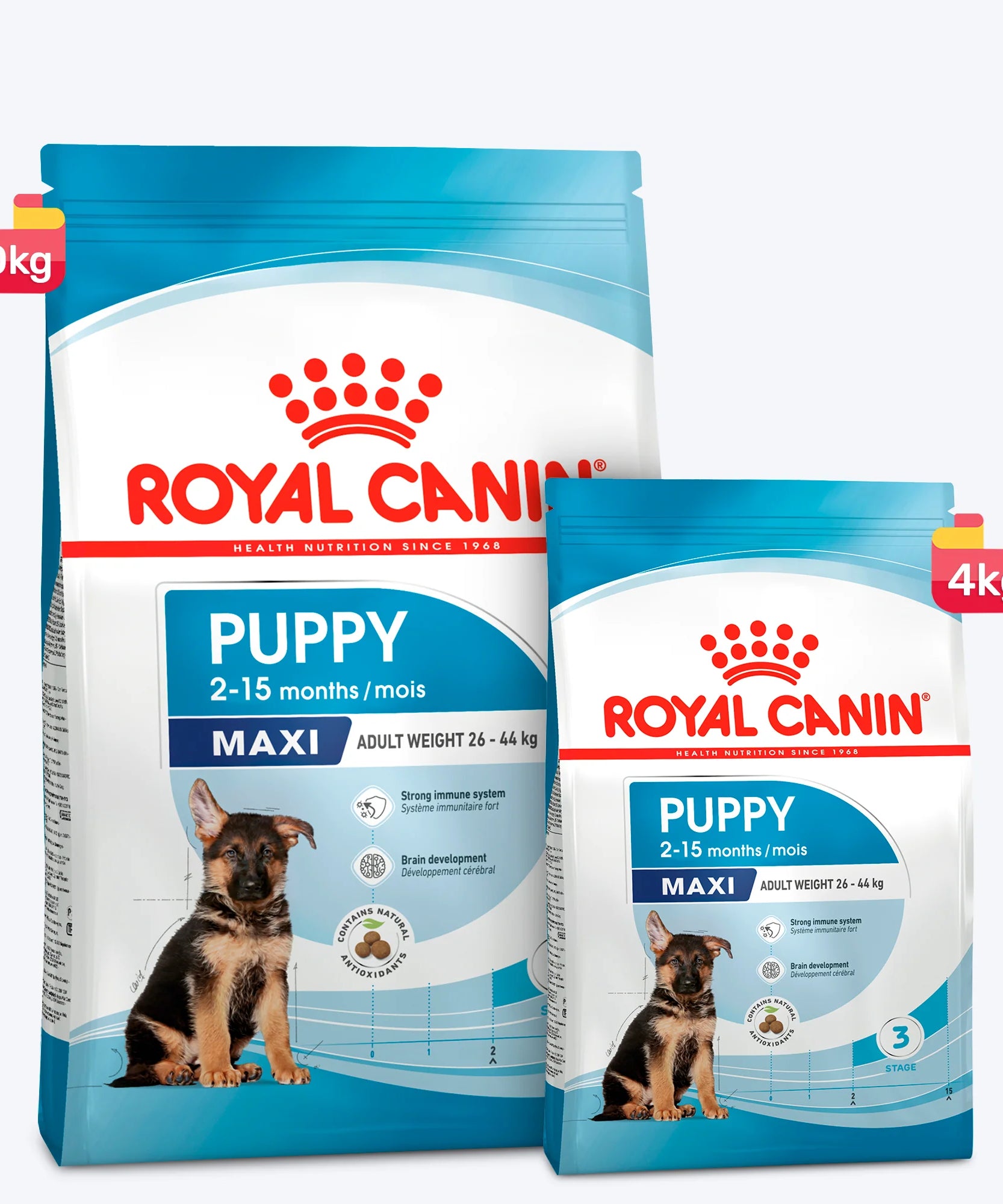 Royal Canin Maxi Puppy Dry Dog Food