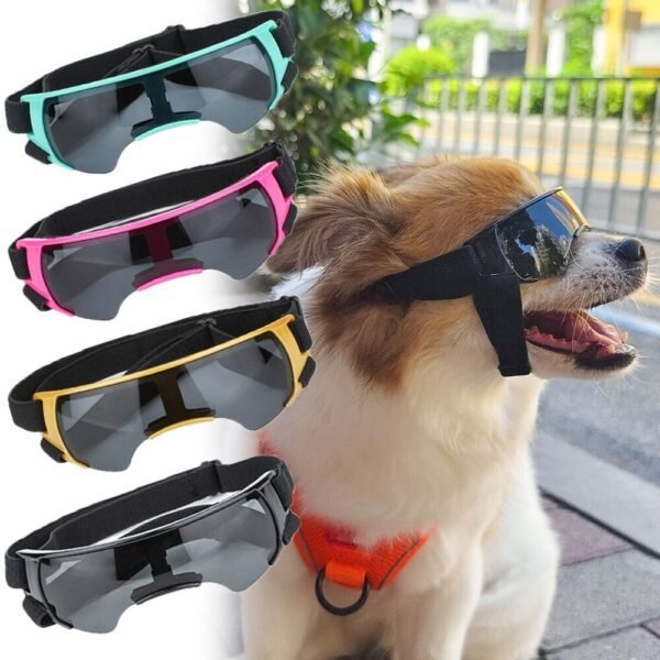Dog Goggles with UV Protection Windproof Pet Sunglasses for Small & Medium Dogs | Adjustable Outdoor Eye Protection